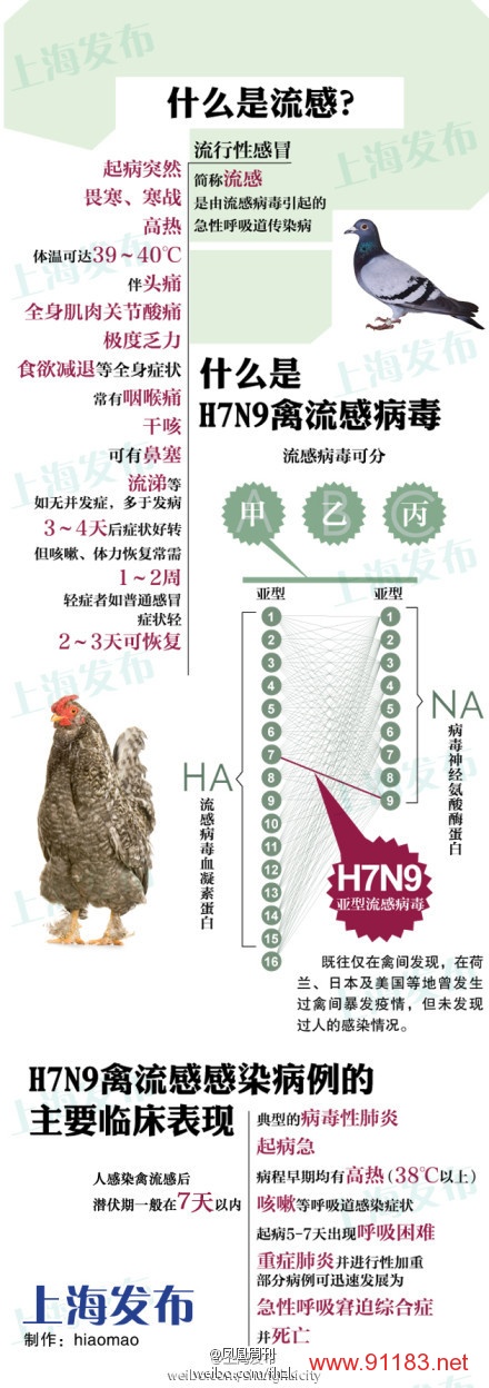 一张图了解H7N9病毒基本情况