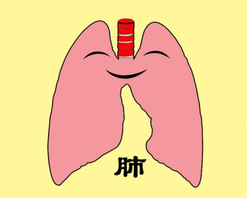 四个有效偏方治疗肺气肿